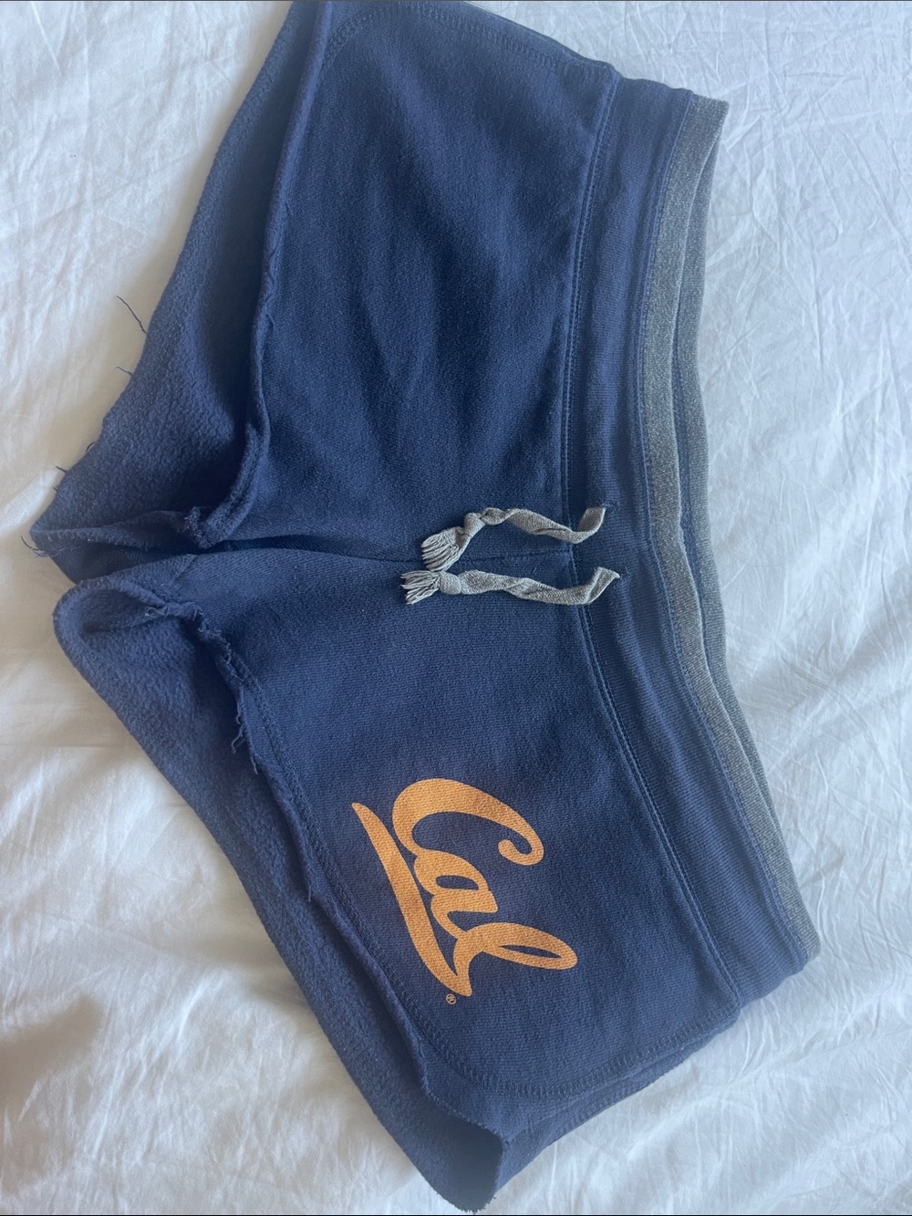 Cal Berkeley Shorts